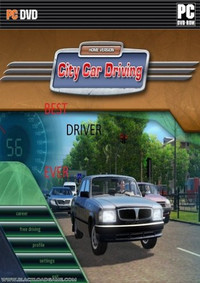 City Car Driving (2016)